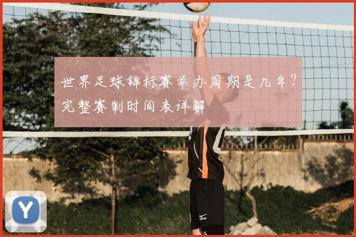 世界足球锦标赛举办周期是几年?完整赛制时间表详解