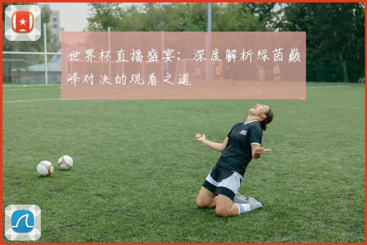 世界杯直播盛宴:深度解析绿茵巅峰对决的观看之道